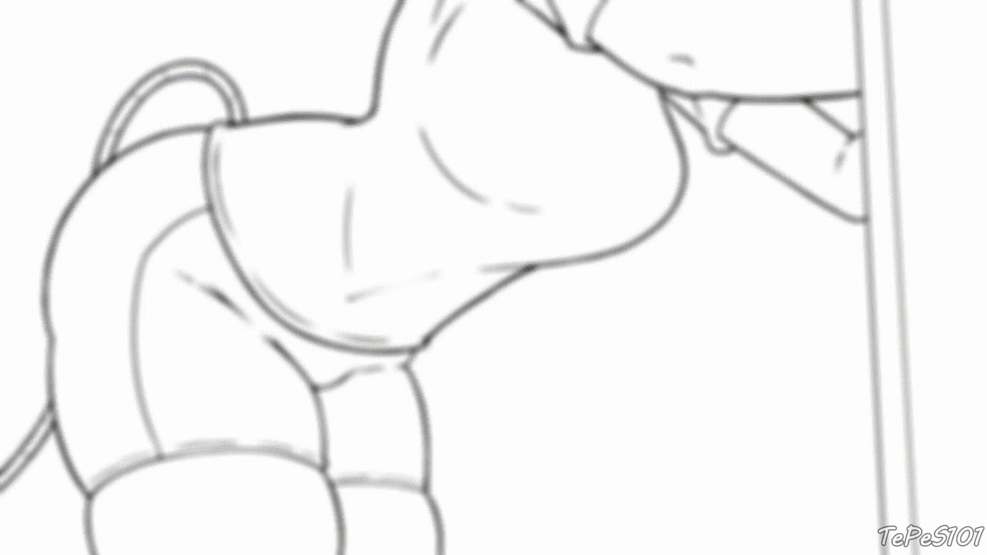 TePeS101 - Waterbelly Inflation Test