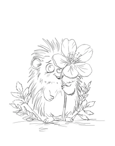 MarenaART - Sketch_11_hedgehog