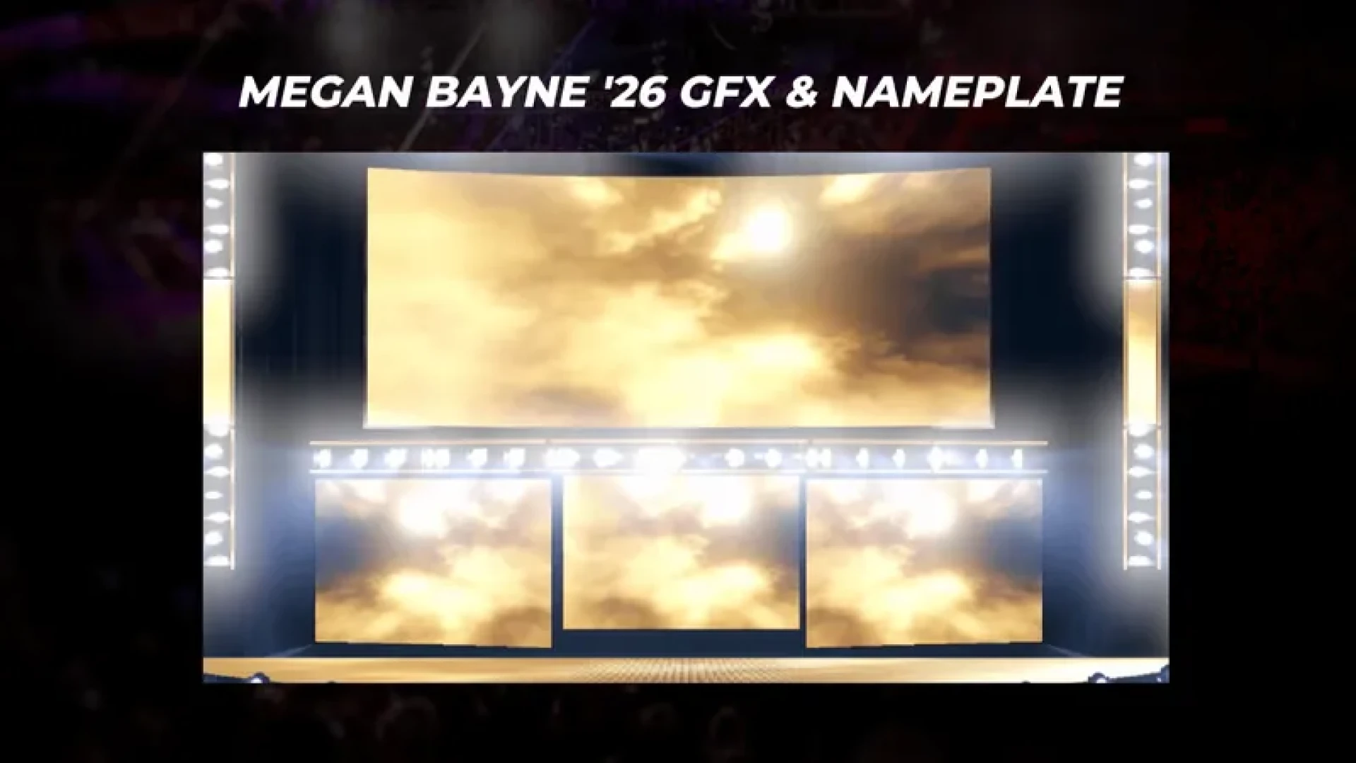 SHIIIWO - MEGAN BAYNE '26 GFX & NAMEPLATE — page 1