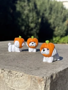 Shapuru Toys - Maltese Pumpkin 