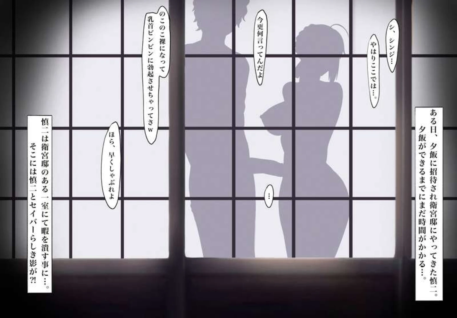 pcpc - Fate 衛宮邸のある一室にて