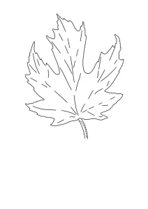 Olena Sketching - Autumn Maple Leaf Real-Time Lesson / Watercolor