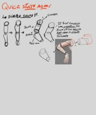DuBetta - Arm and perpective study w/ timelpase bonus doodle of gym goblin