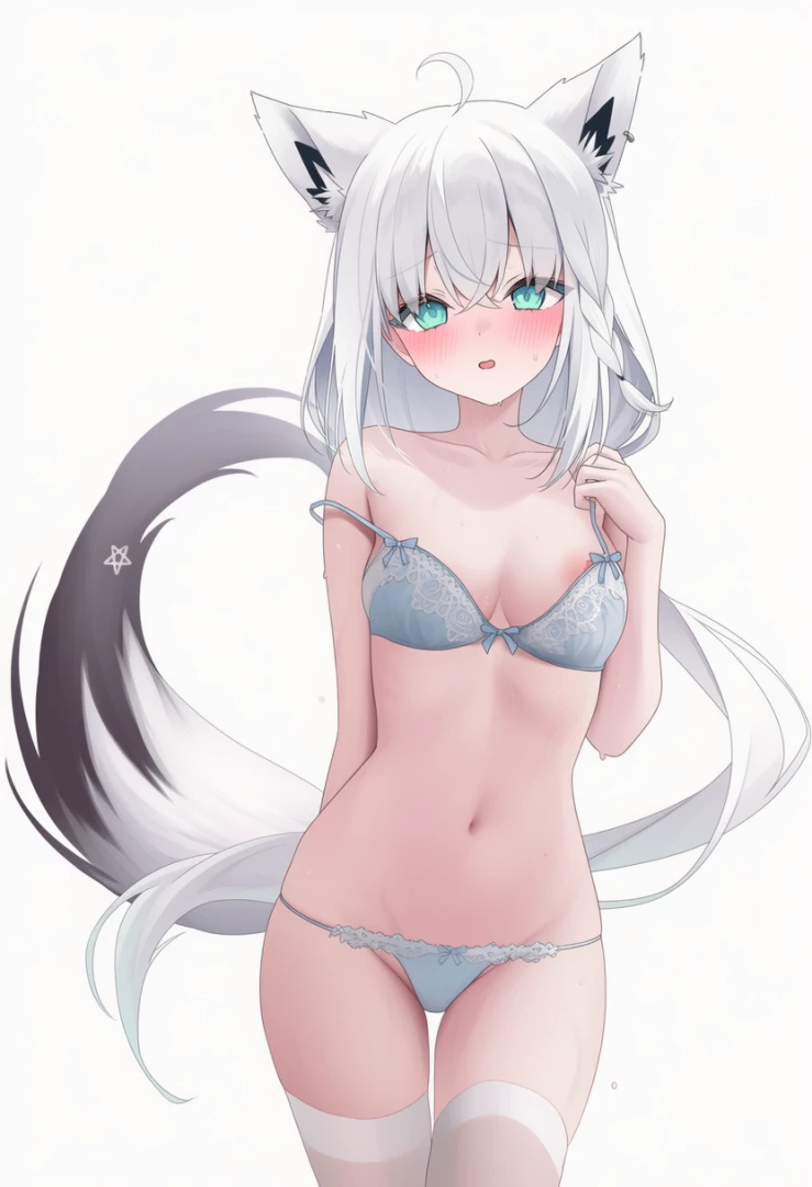 moimoi - Shisakami Fubuki ( In progress )