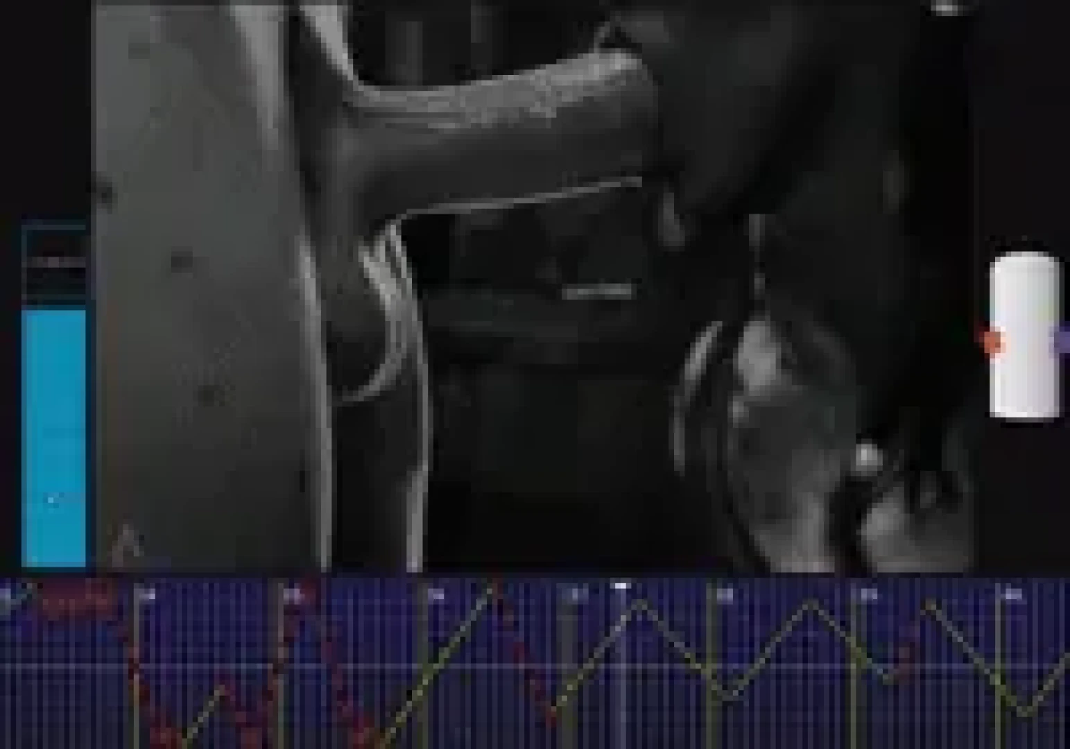 Nokba - AMAZONIUM SULT FEST(PMV) — page 1