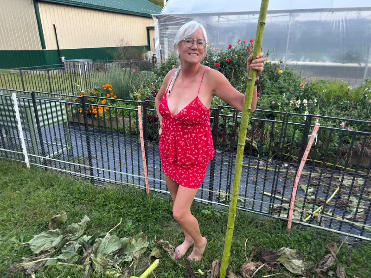 Homegrown Passion with Katy -  I Was Just Trying to Trim the Sunflowers… 