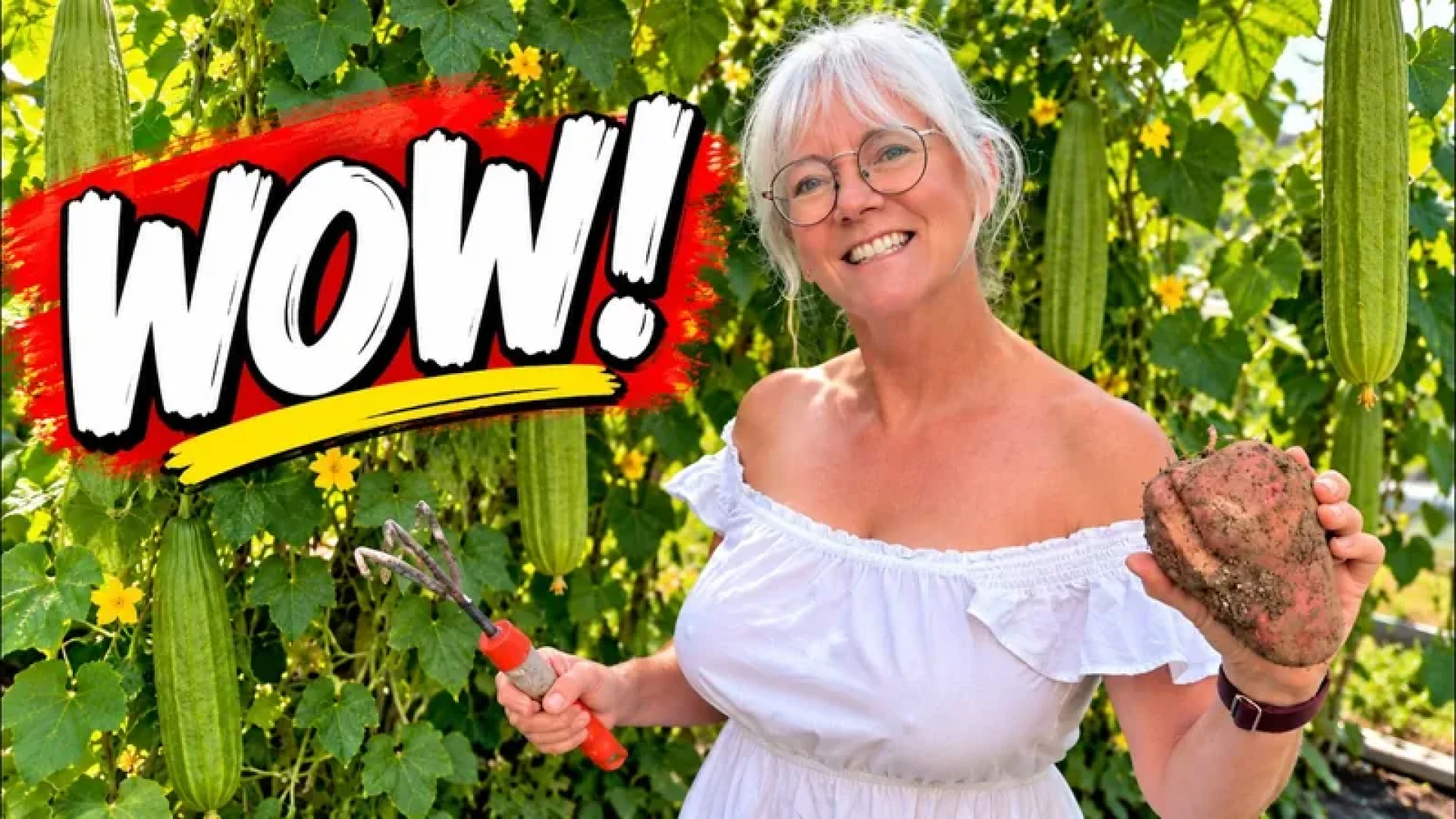 Homegrown Passion with Katy -  I Had NO IDEA This Was Hiding Under My Garden!