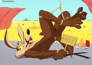SpelunkerSal - Wile E. Coyote - r34 Pinups (Standard Size) 10/26 COMPLETE, download all versions  part 5