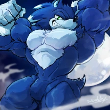 WaddleDox - [Builder] Dec2025 - Sonic the Werehog