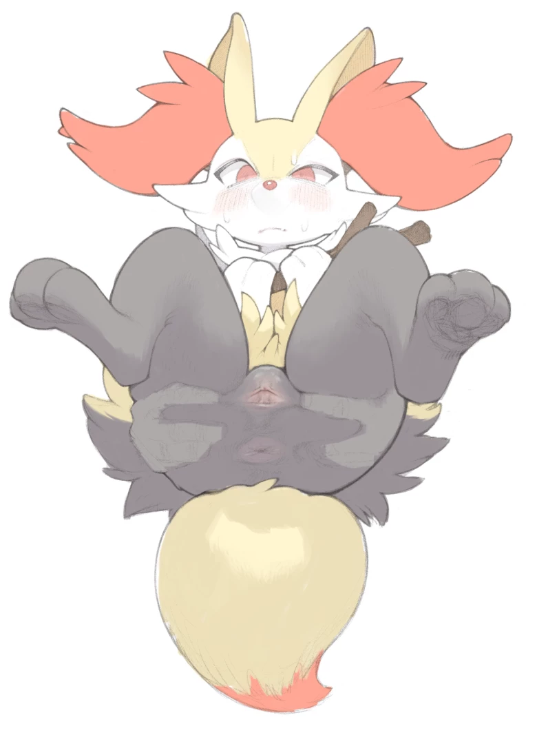 aioiu85 - Braixen