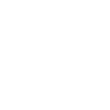 Page 1393
