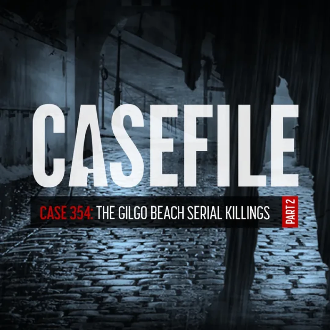 Casefile - Case 354: The Gilgo Beach Serial Killings (Part 2/2)
