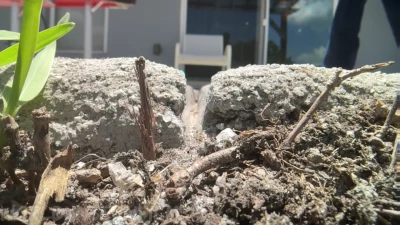 World Unseen Films - Crack in the patio