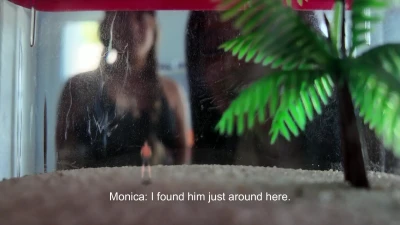 World Unseen Films - Lost in Translation PT2