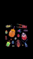 pikaole - [ Live wallpaper - Mobile] Moth, beetle and spiders  part 3