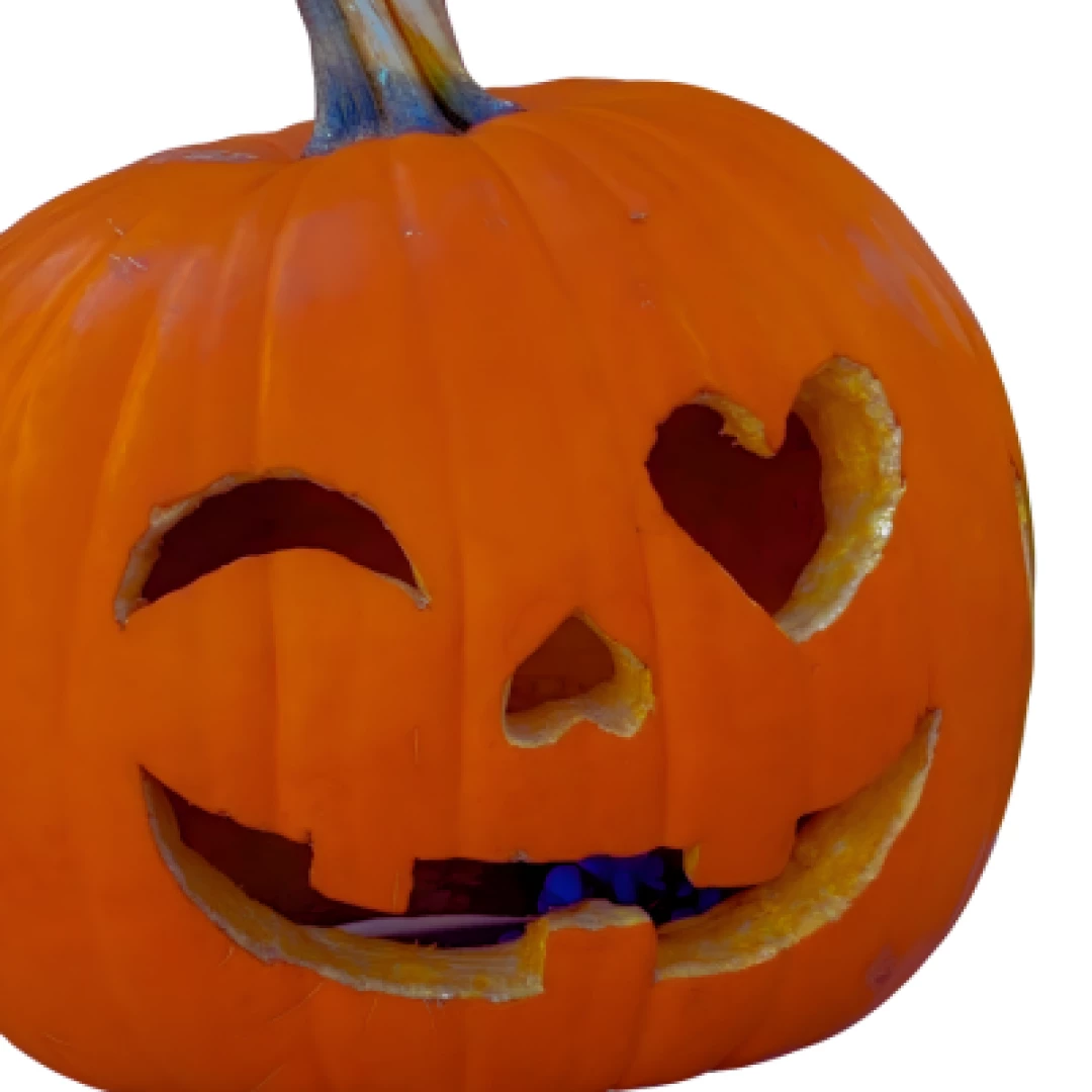 Bee Gee Wanders - The Pumpkin Queen Craves Your Seed!