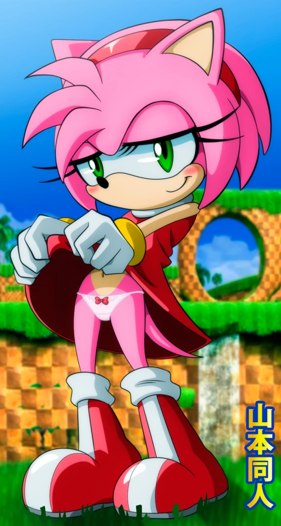 yamamotodoujinshi - Amy Rose / SONIC