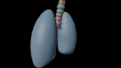 Monarquis - Internal Exploration — Lungs: A Look Inside — Ep. 05: Lungs (WIP 1)