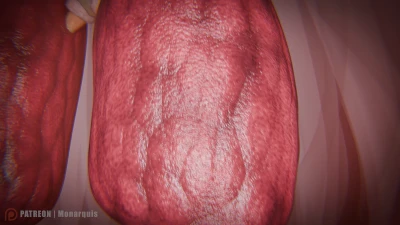 Monarquis - Internal Exploration — Lungs: A Look Inside — Ep. 05: Lungs (Loop)