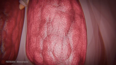 Monarquis - Internal Exploration — Lungs: A Look Inside — Ep. 05: Lungs (Loop) part 2