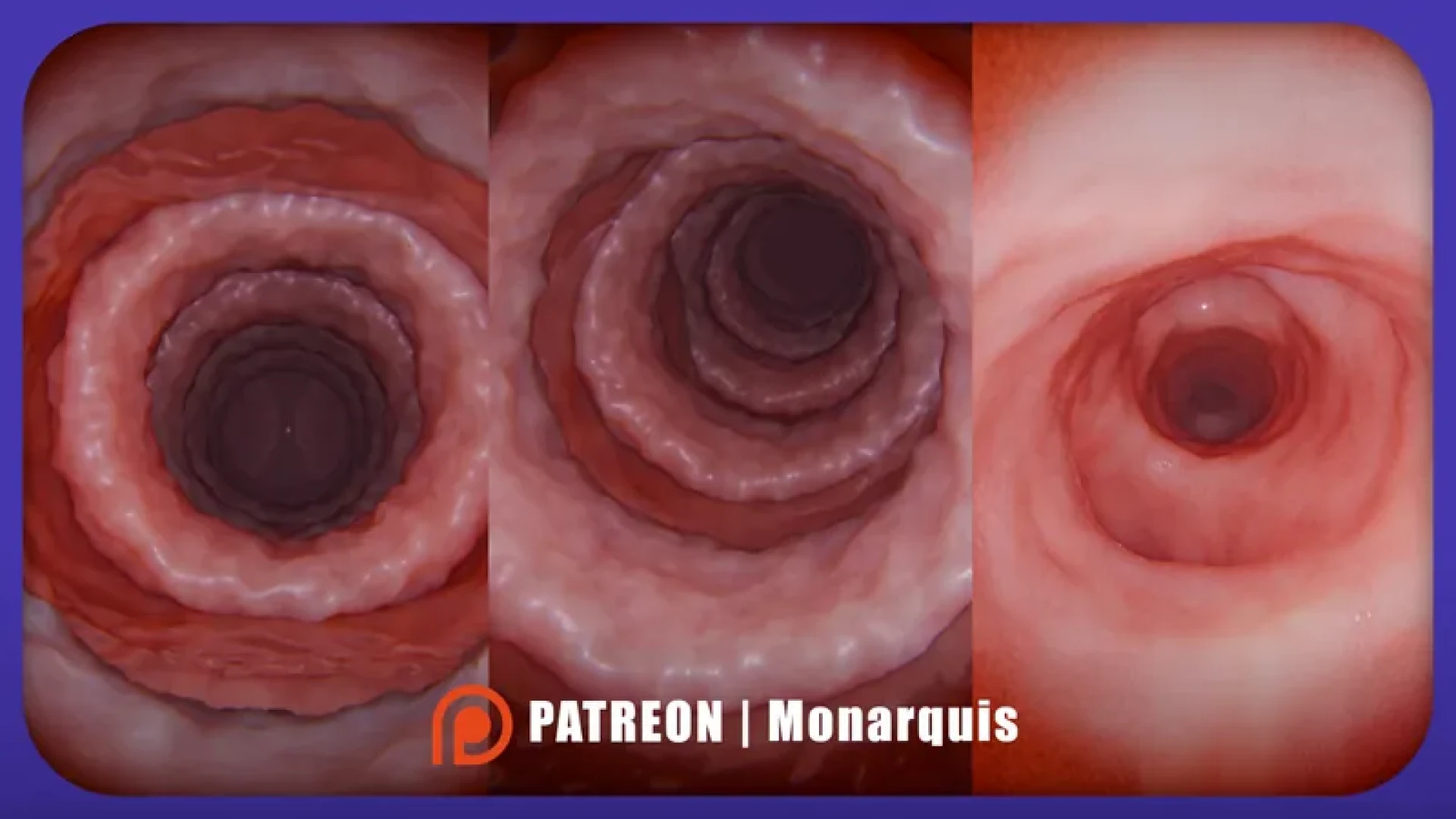 Monarquis - Internal Exploration — Lungs: A Look Inside — Ep. 04: Bronchi (Preview)