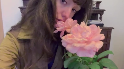 Classicnymph - Damask Rose.